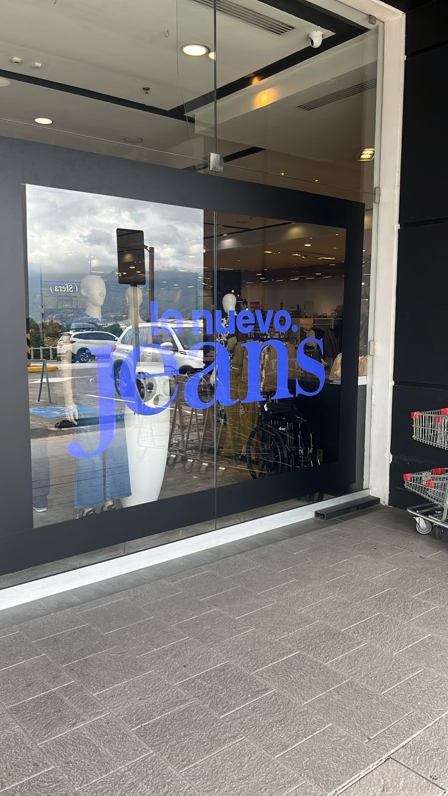 Vinilo de corte en vitrina retail